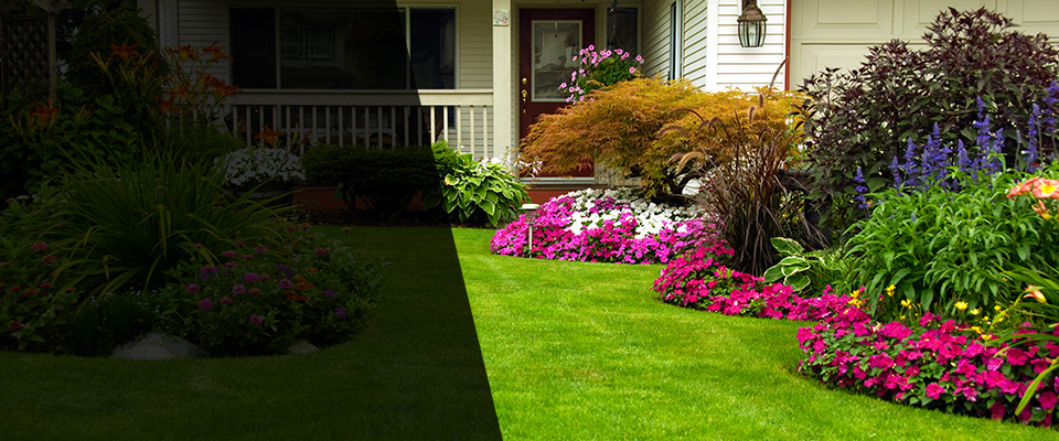 Peralta Landscapers