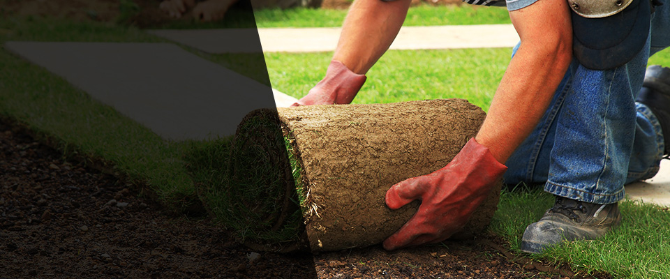Peralta Landscapers